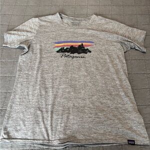Patagonia Heather Gray Graphic Tee